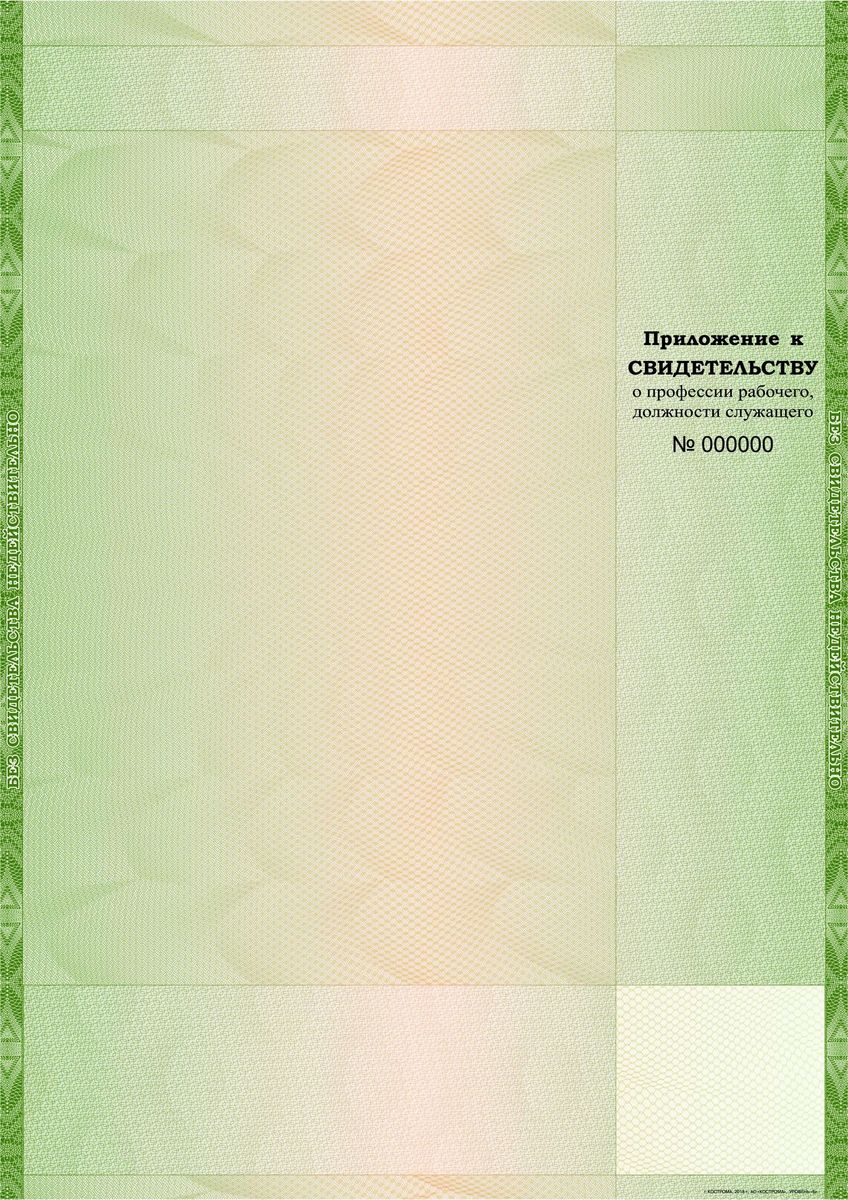 Приложение к свидетельству о профессии рабочего должности служащего образец заполнения